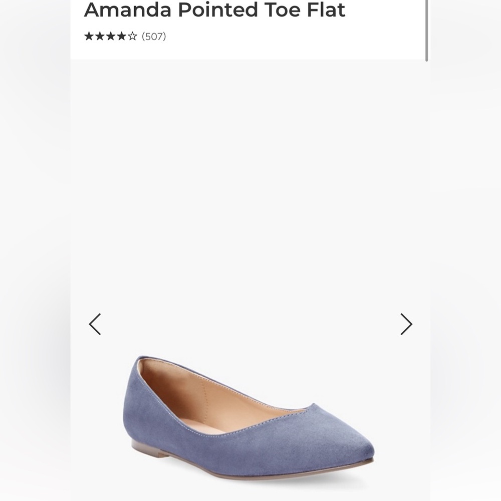 NWT Wide width Blue Stylish Flats